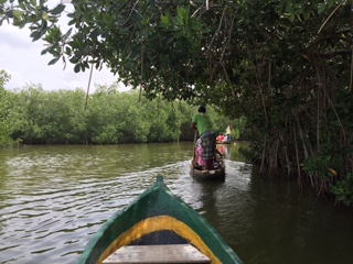 Ecotours Boquilla canoe trip thru mangroves